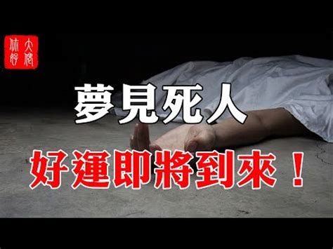 夢見鴿子死掉|夢見鴿子